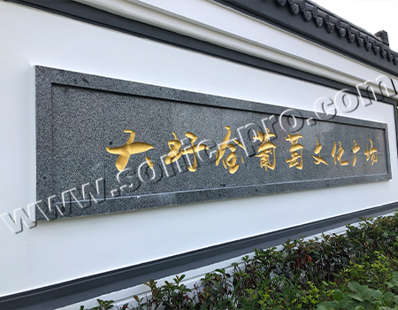 安徽省合肥大圩金葡萄社区文化广场