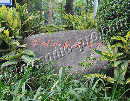 深圳外国语学校会议室