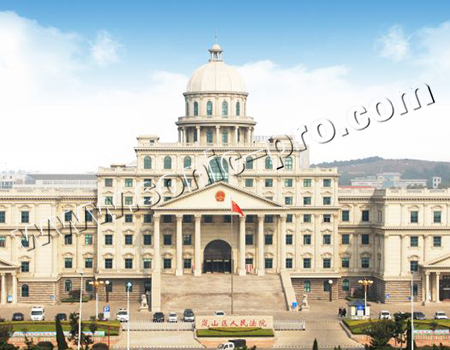 山东省日照市岚山区人民法院报告厅案例分享