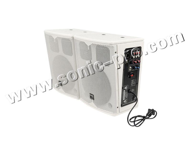 JX-165DF 有源教学对箱（喷漆箱带话筒接收，双高音）