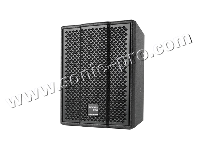 TZ-10 同轴音箱 (单10寸全频)