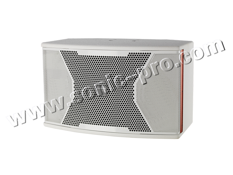 KV-10II 两分频音箱 （单10寸全频）