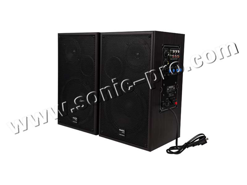 JX-165DB 有源教学对箱（木纹带话筒接收）